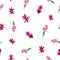 Watercolor Pink Christmas Cactus Seamless Pattern, Blooming Flowers Schlumbergera