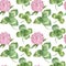 Watercolor pink clover flowers and leaves. Seamles floral pattern. Meadow herbs seamless pattern isolated on the white background