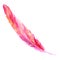 Watercolor pink crimson orange bird rustic feather isolated