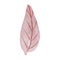 Watercolor pink delicate tree leaf