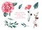 Watercolor pink flowers and leaves, rose, poppy, cotton. Collection of floral watercolor illustrations