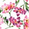 Watercolor pink freesia flower. Floral botanical flower. Seamless background pattern.