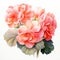 Watercolor Pink Geranium Flowers: Meticulous Design With Masterful Shading
