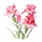 Watercolor Pink Iris Flowers: A Joyful Celebration Of Nature