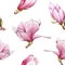Watercolor pink magnolia blooming seamless pattern. Beautiful hand drawn tender spring blossoms on a white background.