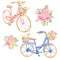 Watercolor pink peony set and blue, pink bicycle, summer bouquets  illustration, delicate floral arrangements, dog animal,