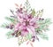 Watercolor Pink Poinsettia flower with green leaves, pine branches and berries. Christmas composition. New year`s card.