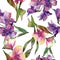 Watercolor pink and purple alstroemeria flower. Floral botanical flower. Seamless background pattern.