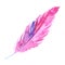 Watercolor pink purple crimson violet bird rustic feather isolated
