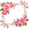 Watercolor Pink Rose Frame For Vector Image Design
