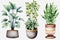 Watercolor plants in pots collection on white background. Generative ai design