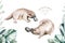 Watercolor platypus australian animals illustration.Exotic Animal Hand-painted Isolated