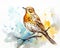 watercolor pnted song thrush bird on a white background.