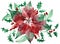 Watercolor poinsettia with Christmas floral decor. Hand painted traditional flower and plants