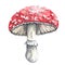 Watercolor poisonous mushroom Amanita muscaria, isolated on white background. Autumn forest illustration.