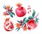 Watercolor pomegranate bloom branches and fruit set