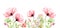 Watercolor Poppy bottom border. Horizontal floral background. Abstract pink flowers with leaves on white. Botanical