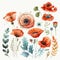 Watercolor Poppy Floral Clipart. Beautiful Watercolor set . Isolated on White Background.