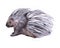 Watercolor porcupine  animal