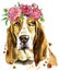 Watercolor portrait of basset hound with wreath of flowers