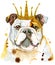 Watercolor portrait of bulldog with golden crown