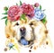 Watercolor portrait of chow-chow dog in a wreath of peonies