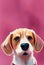 Watercolor portrait of cute Beagle hound dog.