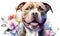 Watercolor portrait of cute Pitbull dog in composition with flowers on white background.