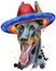 Watercolor portrait doberman in mexican wide brim hat