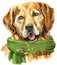 Watercolor portrait of golden retriever with green scarf