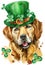 Watercolor portrait of golden retriever. St Patricks Day Lucky Dog