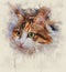Watercolor Portrait illustration of a calico cat