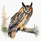 Watercolor Portrait of a Long-Eared Owl