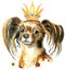 Watercolor portrait of long-haired toy terrier with a crown on his head