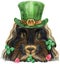 Watercolor portrait of Merino guinea pig in a leprechaun's hat on white background