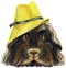 Watercolor portrait of Merino guinea pig in yellow hat on white background