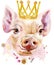 Watercolor portrait of mini pig with gold crown