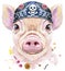 Watercolor portrait of mini pig wearing biker bandana