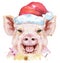 Watercolor portrait of pig in Santa hat