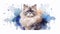 Watercolor portrait of a ragdoll cat on a white background with splashes