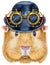 Watercolor portrait of Self guinea pig with hat bowler and steampunk glasses on white background