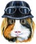 Watercolor portrait of Sheltie Guinea Pig with biker helmet on white background