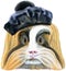 Watercolor portrait of Sheltie Guinea Pig in black beret on white background