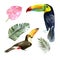 Watercolor portrait of toucans vector illustration