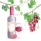 Watercolor poster of bottle of wine grapes, glass of wine and bunch of red grapes