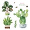 Watercolor potted plants set