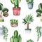 Watercolor potted plants texture