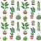 Watercolor potted plants texture