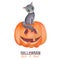 Watercolor pumpkin for Halloween with a gray cat sitting on it. Jack-o-lantern isolated on white background. Trick or Treat