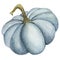 Watercolor pumpkin illustration isolated on the white background